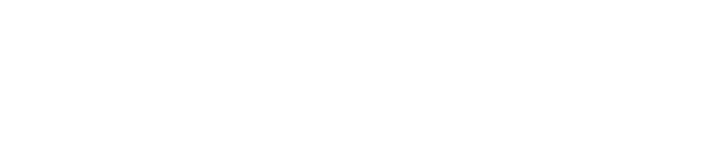 BizWarrior Logo White